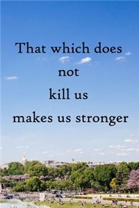 That which does not kill us makes us stronger