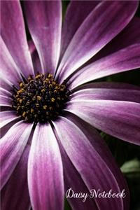 Daisy Notebook