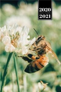 Bee Insects Beekeeping Beekeeper Week Planner Weekly Organizer Calendar 2020 / 2021 - Blooming White