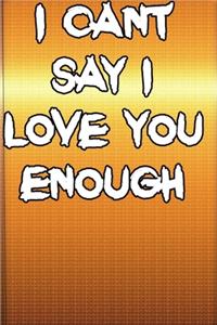 I Cant Say I Love You Enough