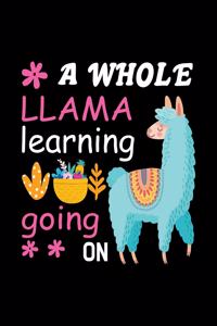 whole llama learning going on