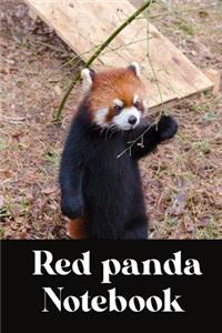 Red panda notebook