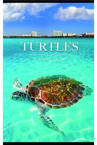 Turtles Note Monthly 2020 Planner 12 Month Calendar