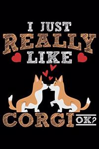 I Just Really Like Corgi Ok?