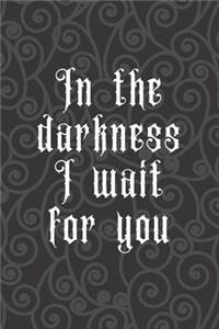 In The Darkness I Wait for You