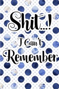 Shit I Can't Remember