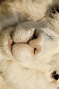 Fluffy Alpaca Journal
