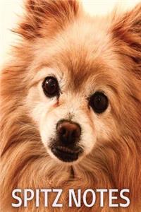 Spitz Notes