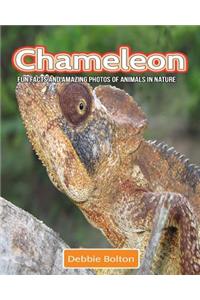 Chameleon: Fun Facts and Amazing Photos of Animals in Nature