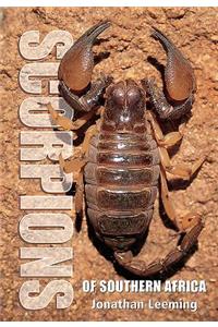 Scorpions of South Africa