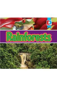 Rainforests