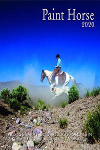 2020 Paint Horse Calendar