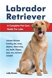 Labrador Retriever