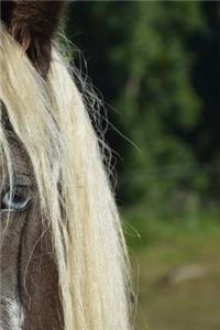 Gypsy Horse Breed Notebook