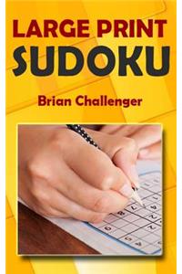Large Print Sudoku