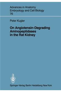 On Angiotensin-Degrading Aminopeptidases in the Rat Kidney