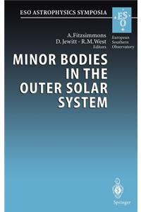 Minor Bodies in the Outer Solar System