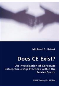 Does CE Exist? - An Investigation of Corporate Entrepreneurship Practices within the Service Sector