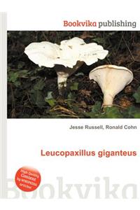 Leucopaxillus Giganteus