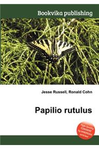 Papilio Rutulus