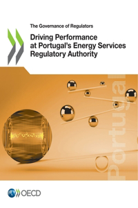 Driving Performance at Portugal's Energy Services Regulatory Authority