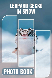Leopard Gecko In Snow Photo Book
