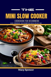 Mini Slow Cooker Cookbook for Beginners