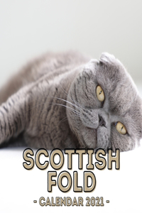 Scottish Fold