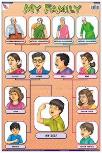 Teachingnest My Family Chart | Laminated 33X48 Cm (13X19 Inch) | Wall Sticking