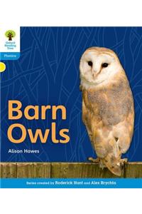 Oxford Reading Tree: Level 3: Floppy's Phonics Non-Fiction: Barn Owls