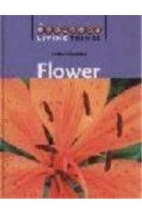 Living Things: Flower