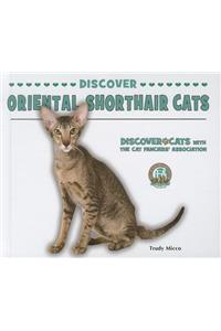 Discover Oriental Shorthair Cats
