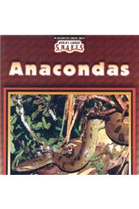 Anacondas