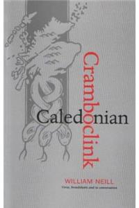 Caledonian Cramboclink