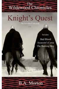 Knight's Quest