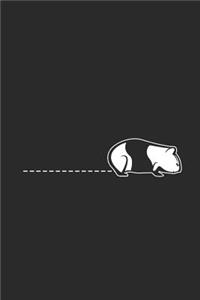 The Guinea Pig