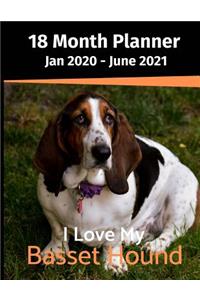 Jan 2020 - June 2021 18 Month Planner