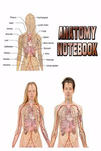 Anatomy Notebook