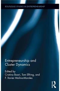 Entrepreneurship and Cluster Dynamics