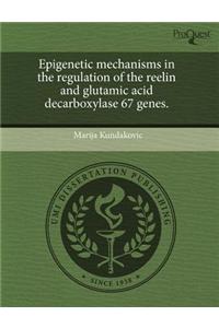 Epigenetic Mechanisms in the Regulation of the Reelin and Glutamic Acid Decarboxylase 67 Genes