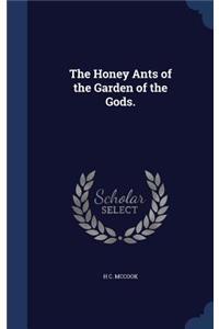 Honey Ants of the Garden of the Gods.