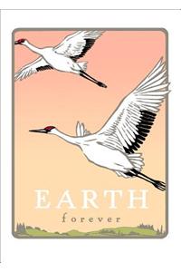 Whooping Cranes: Earth Forever (Unboxed)