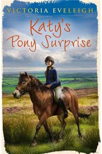 Katy's Exmoor Ponies: Katy's Pony Surprise