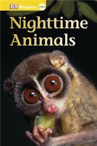 Nighttime Animals