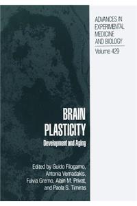 Brain Plasticity