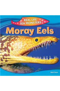 Moray Eels