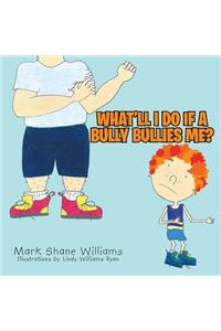 What'll I do if a Bully Bullies me?