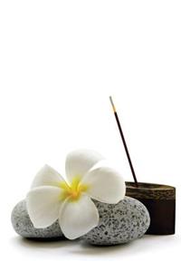 Zen 44