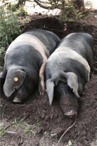 Two Pigs Chilling in the Mud Journal