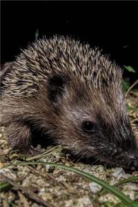 A Happy Hedgehog Journal